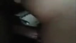 5 FILM BIRDEN....5IN1