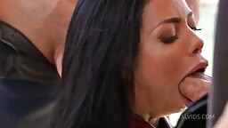 Analvids Canela Skin Gp2020