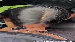 Brenda Trindade 2024